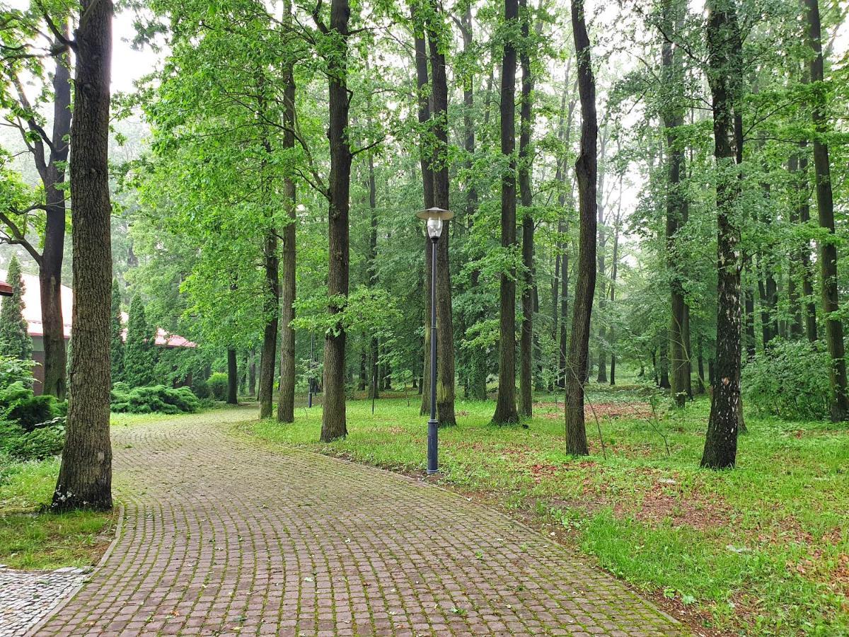 Stacja Nowa Gdynia Bed & Breakfast Aquapark Zgierz Exterior foto