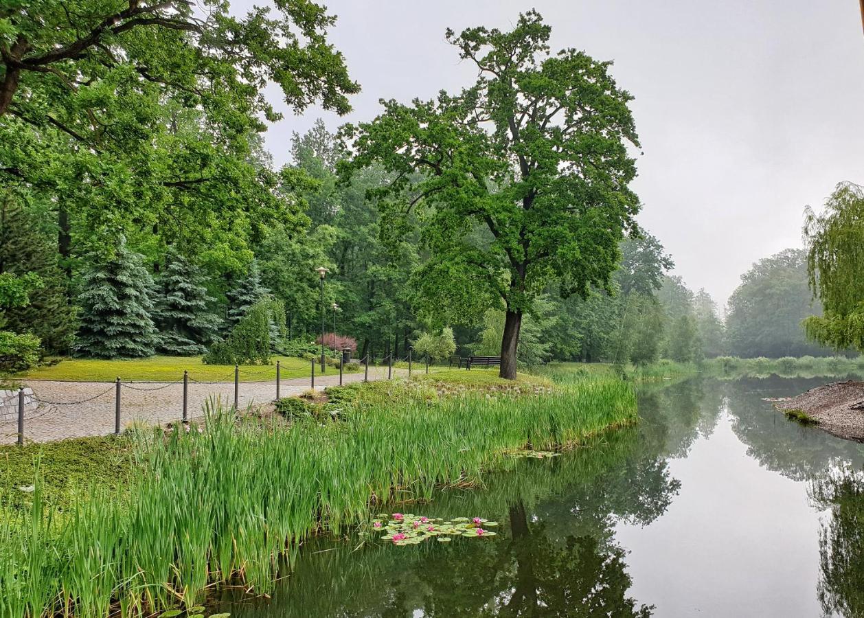 Stacja Nowa Gdynia Bed & Breakfast Aquapark Zgierz Exterior foto