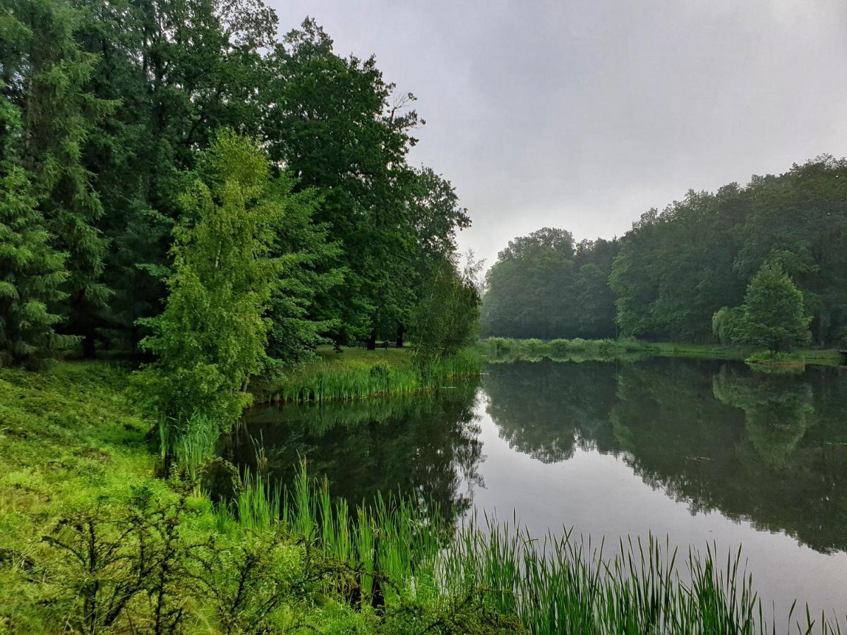 Stacja Nowa Gdynia Bed & Breakfast Aquapark Zgierz Exterior foto