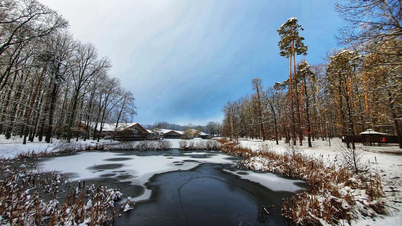 Stacja Nowa Gdynia Bed & Breakfast Aquapark Zgierz Exterior foto